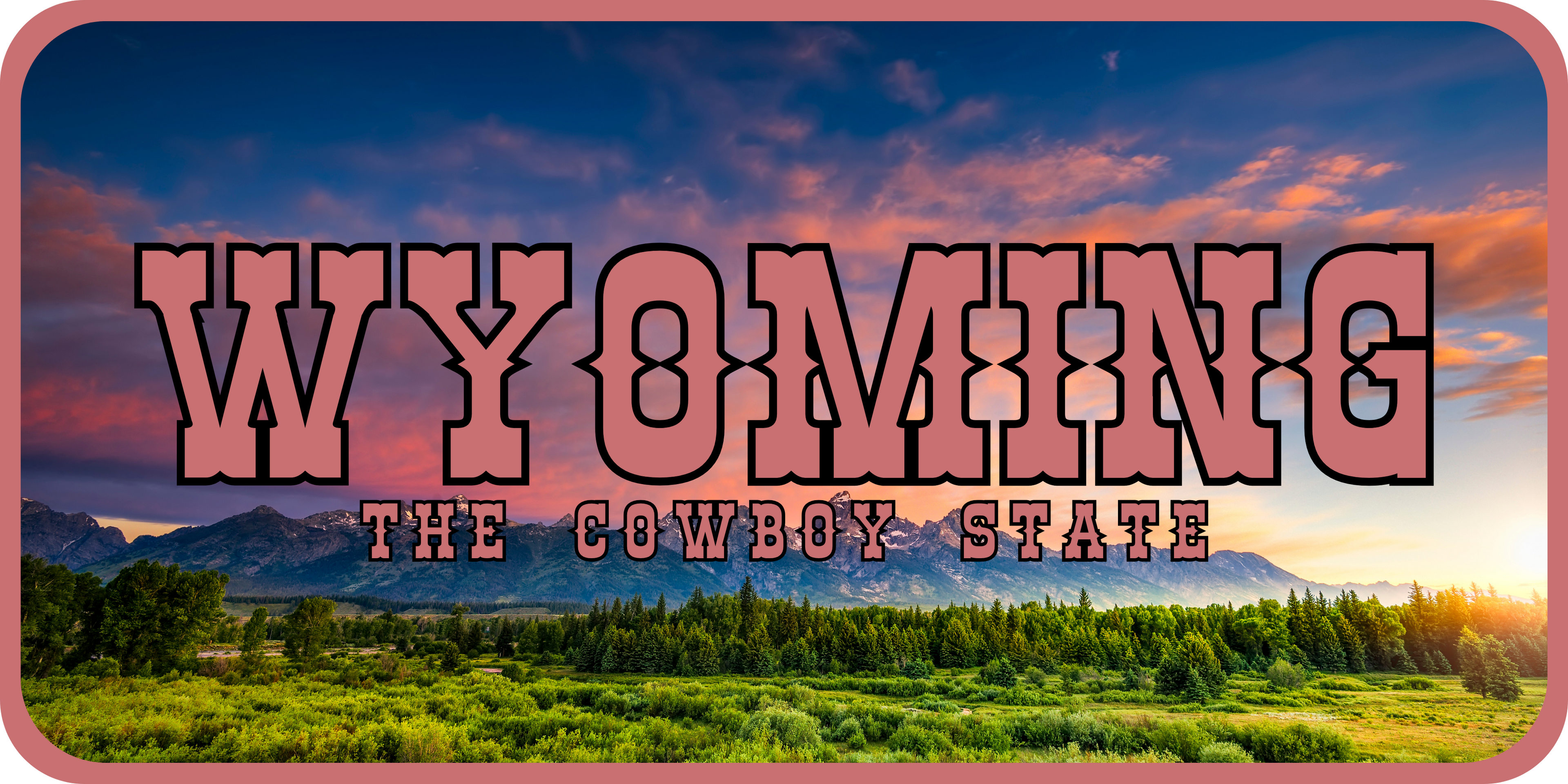 Wyoming License Plate Pink