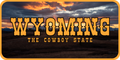 Wyoming License Plate Orange