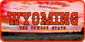 Wyoming License Plate Red