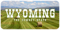 Wyoming License Plate Bales