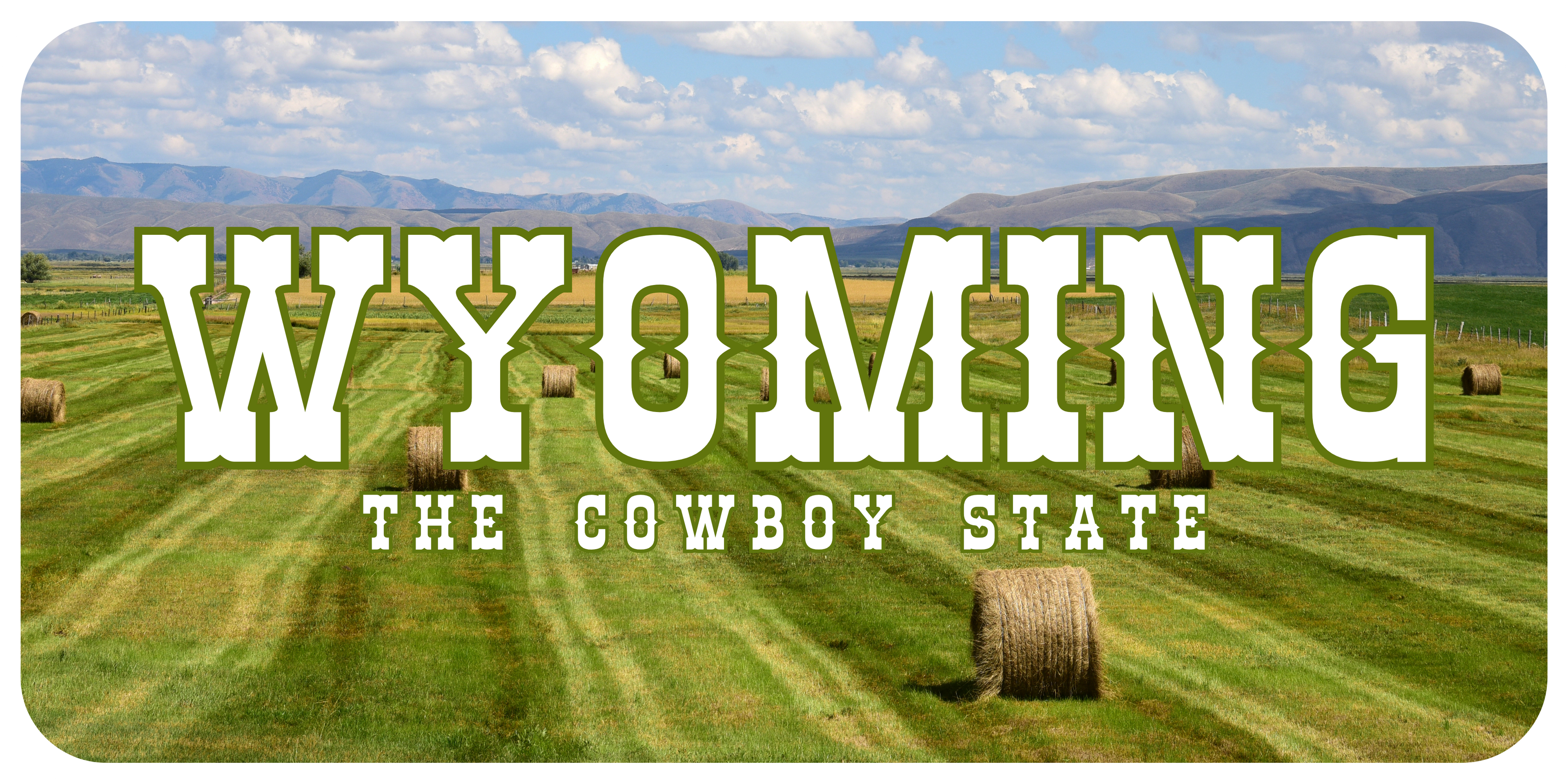 Wyoming License Plate Bales