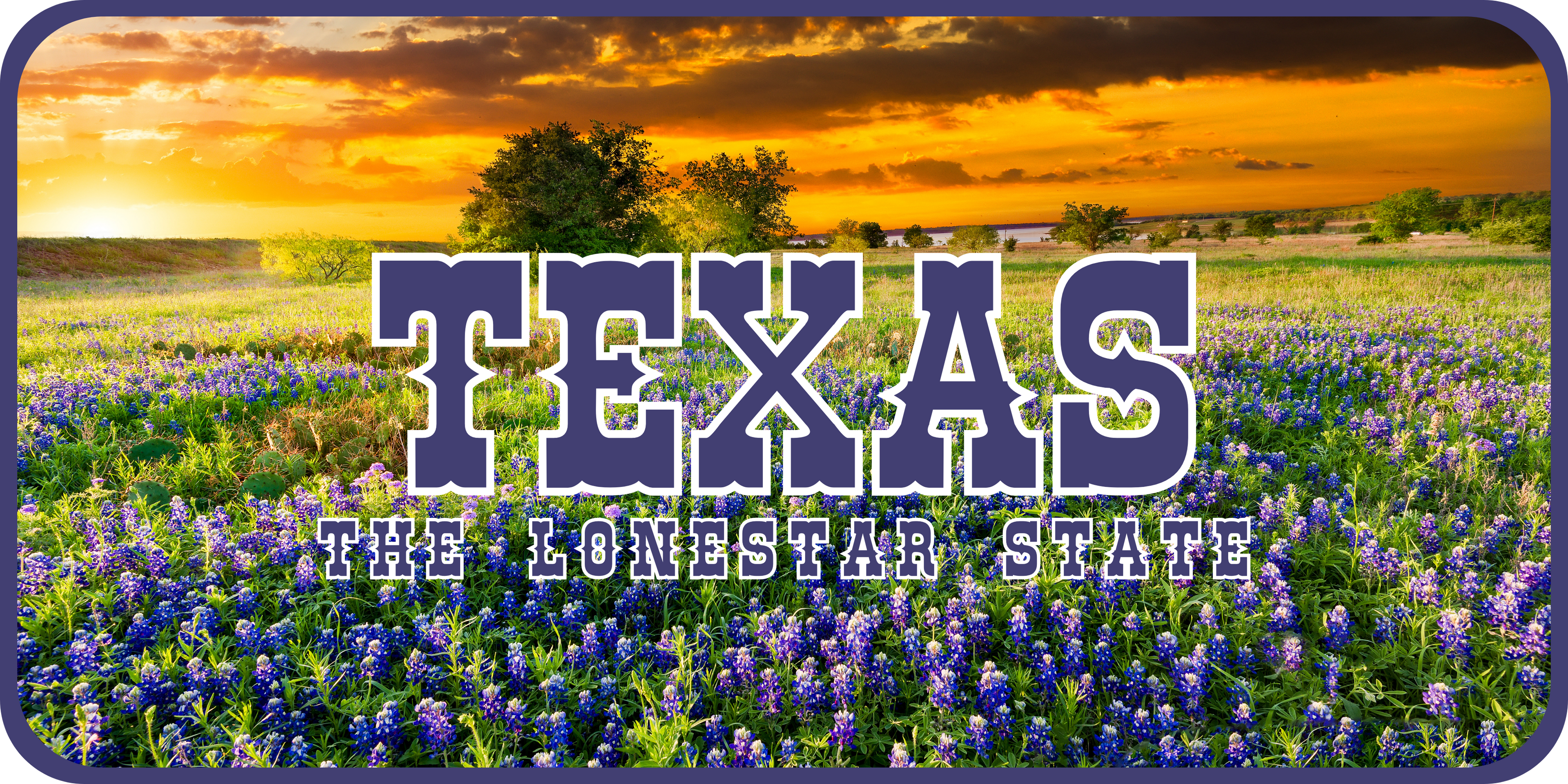 Texas License Plate 1