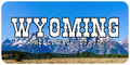 Wyoming License Plate White