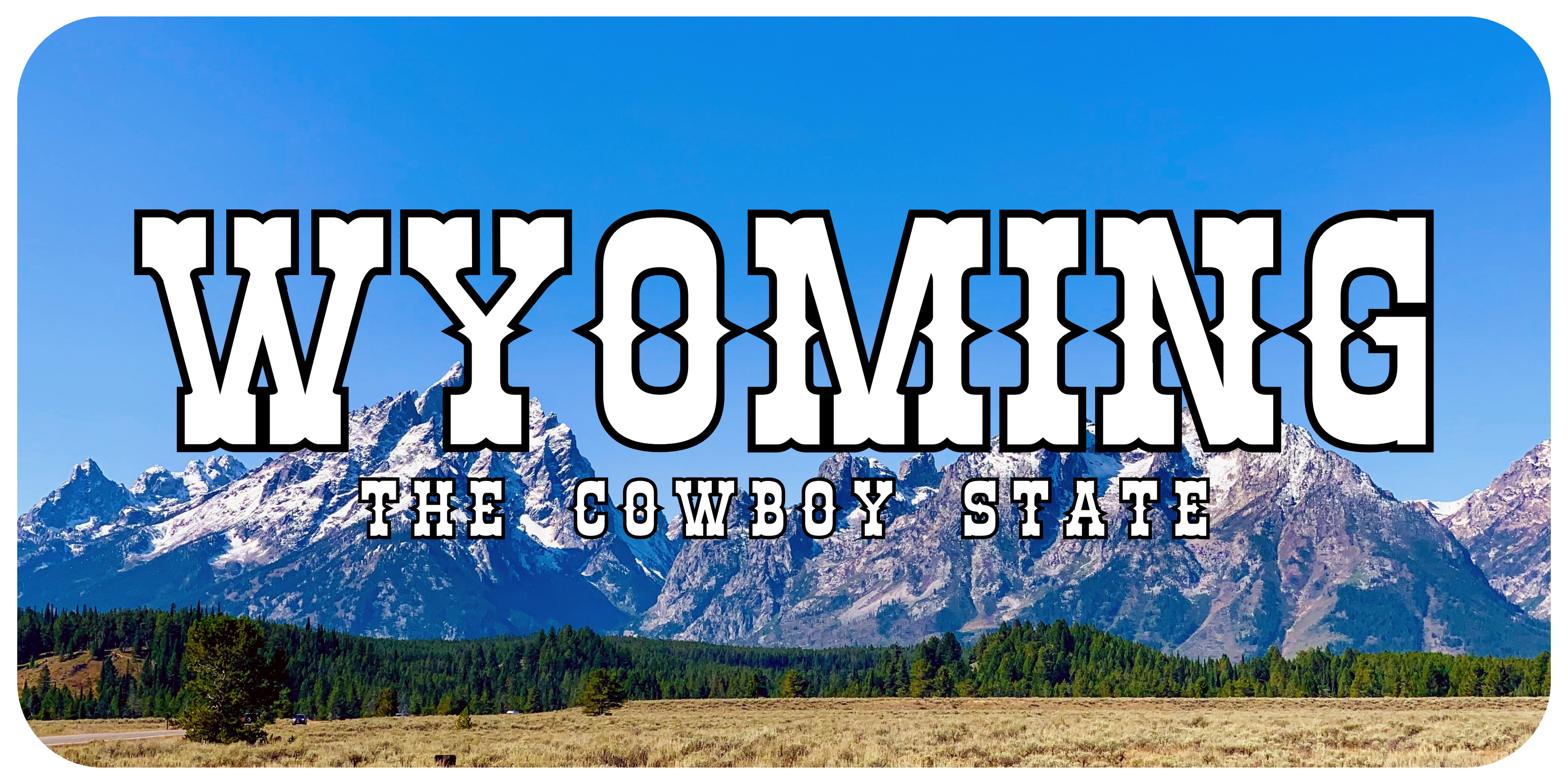 Wyoming License Plate White