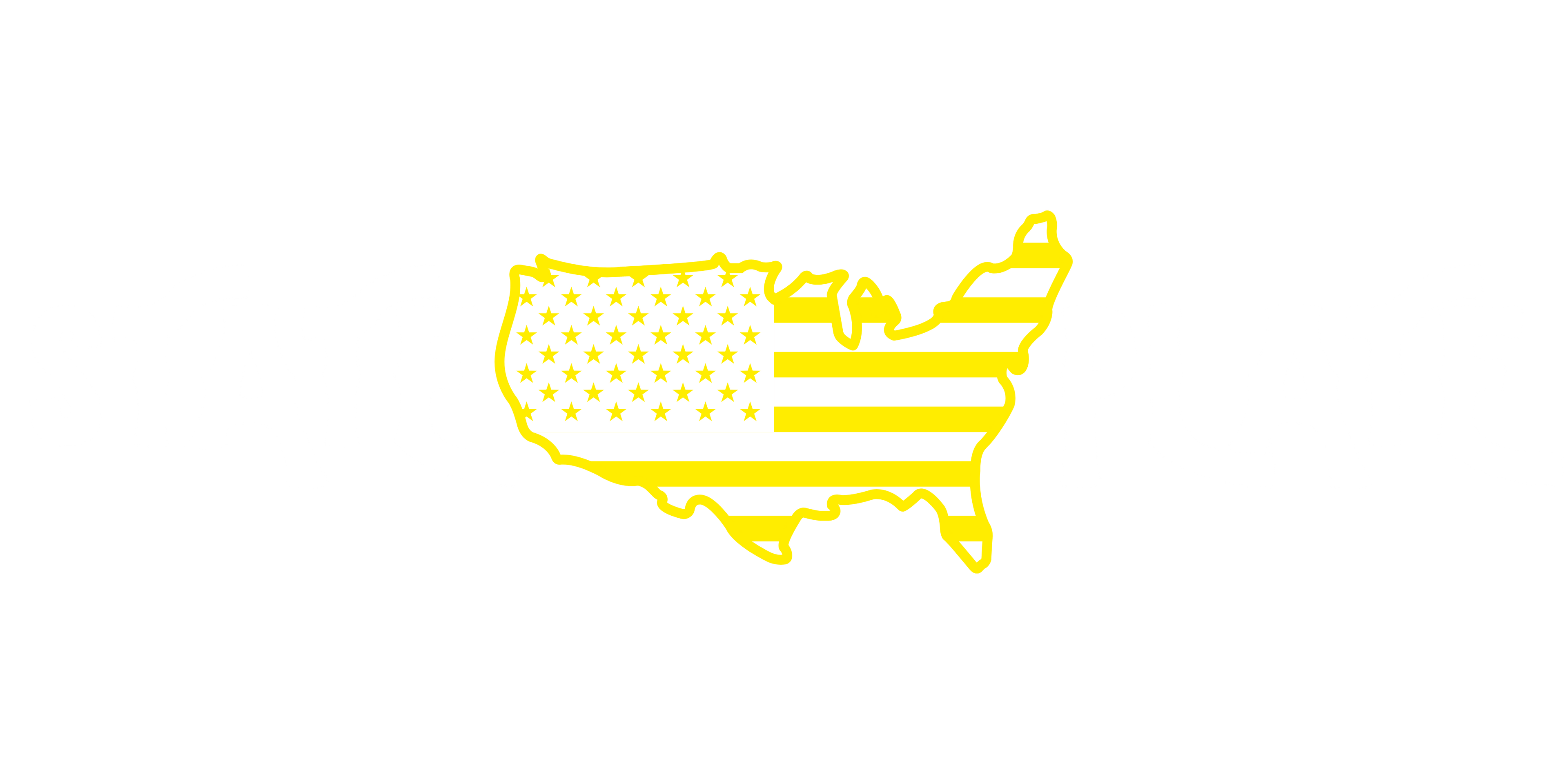 State Plate Licence Plate Cover