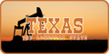 Texas License Plate 2
