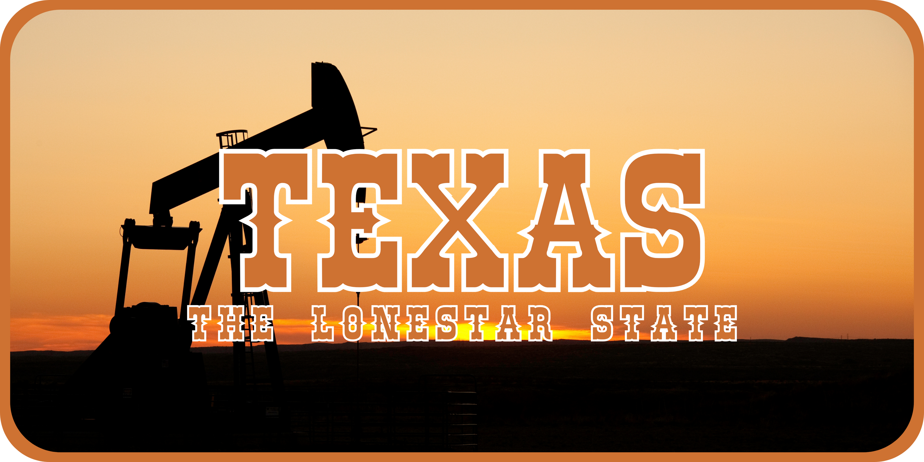 Texas License Plate 2