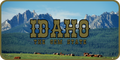Idaho License Plate 2
