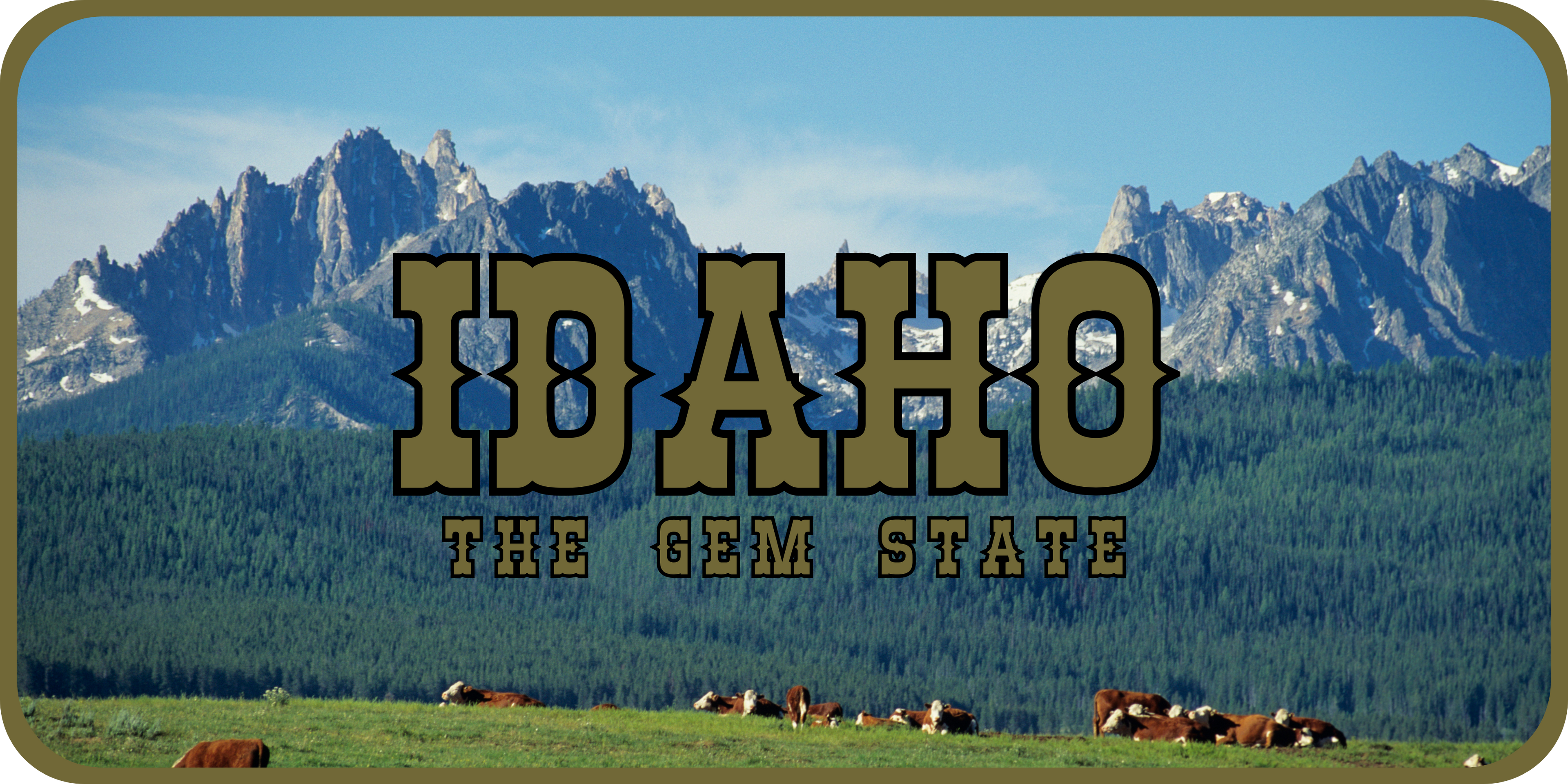 Idaho License Plate 2