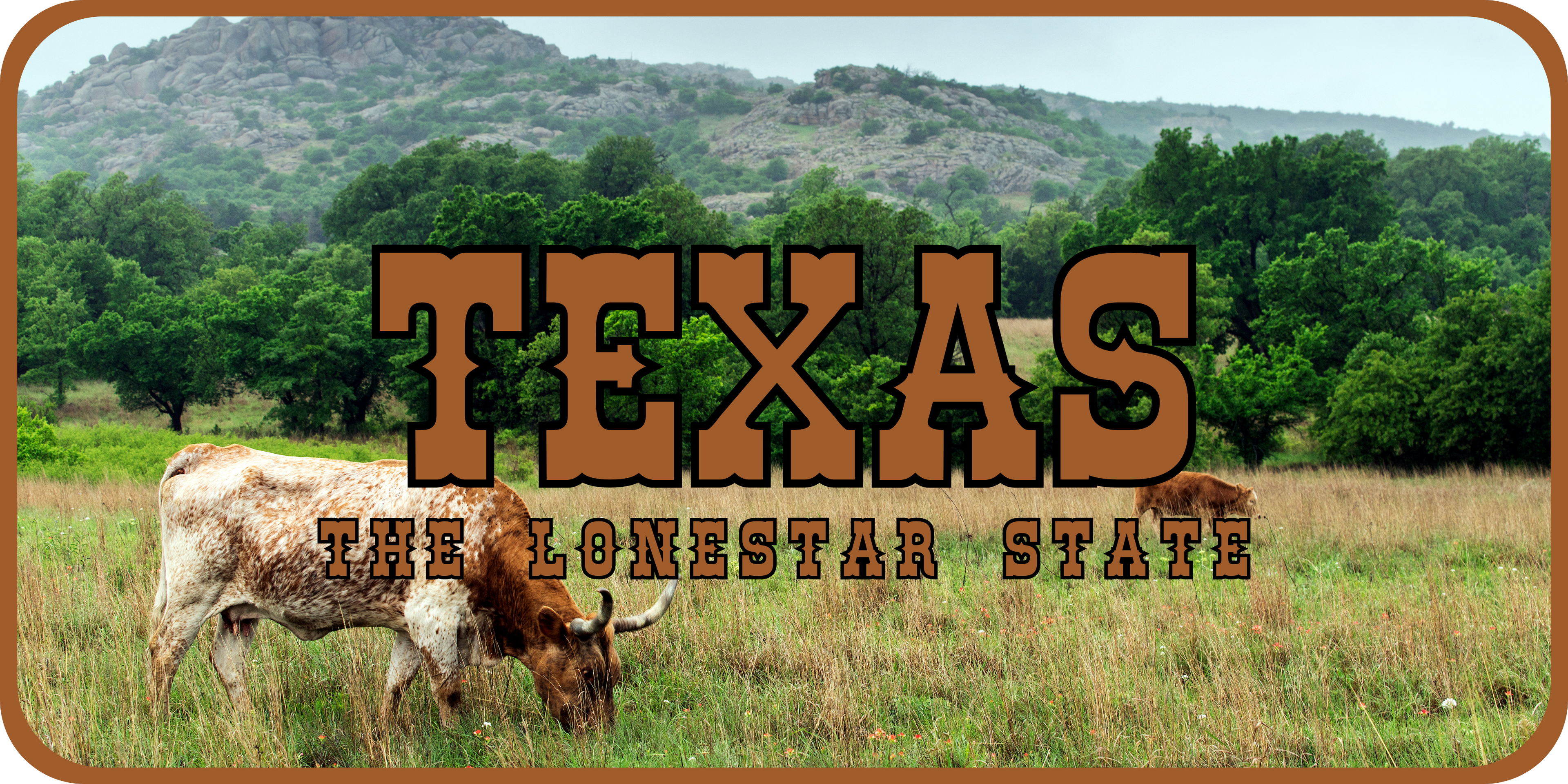 Texas License Plate 3