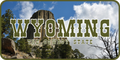 Wyoming License Plate D.T