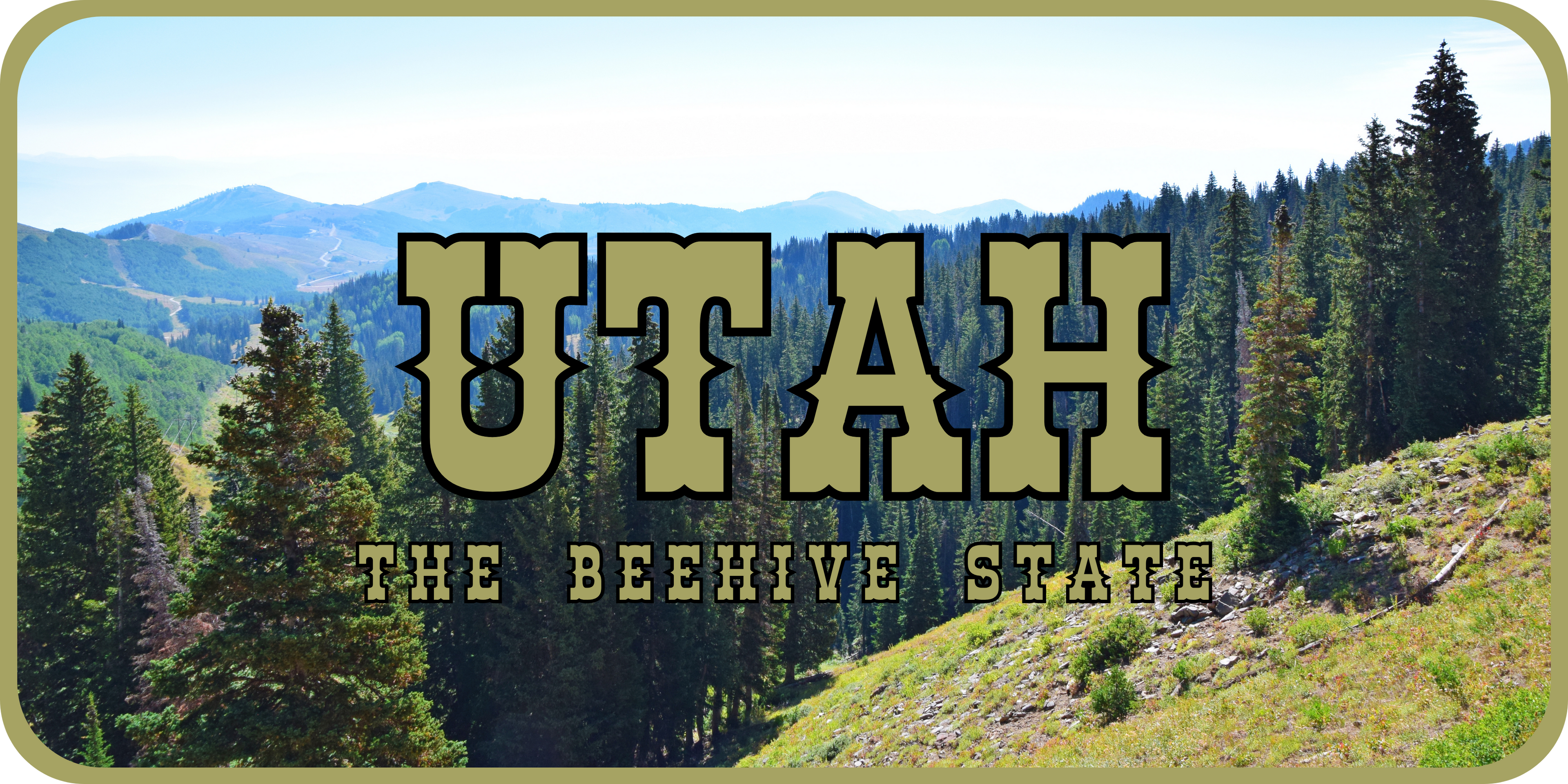 Utah License Plate 4