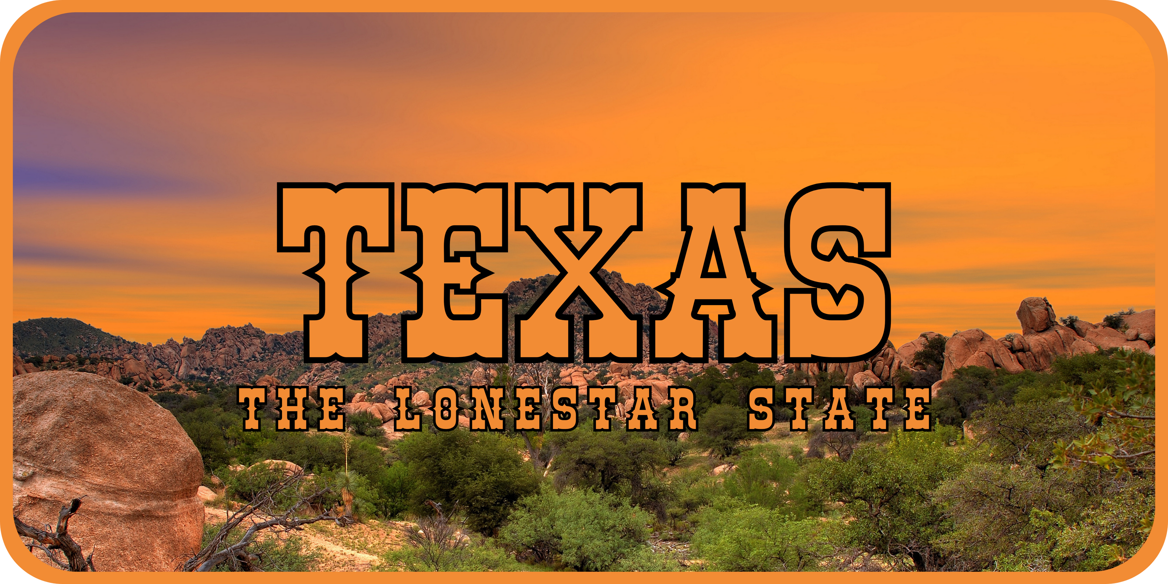 Texas License Plate 4