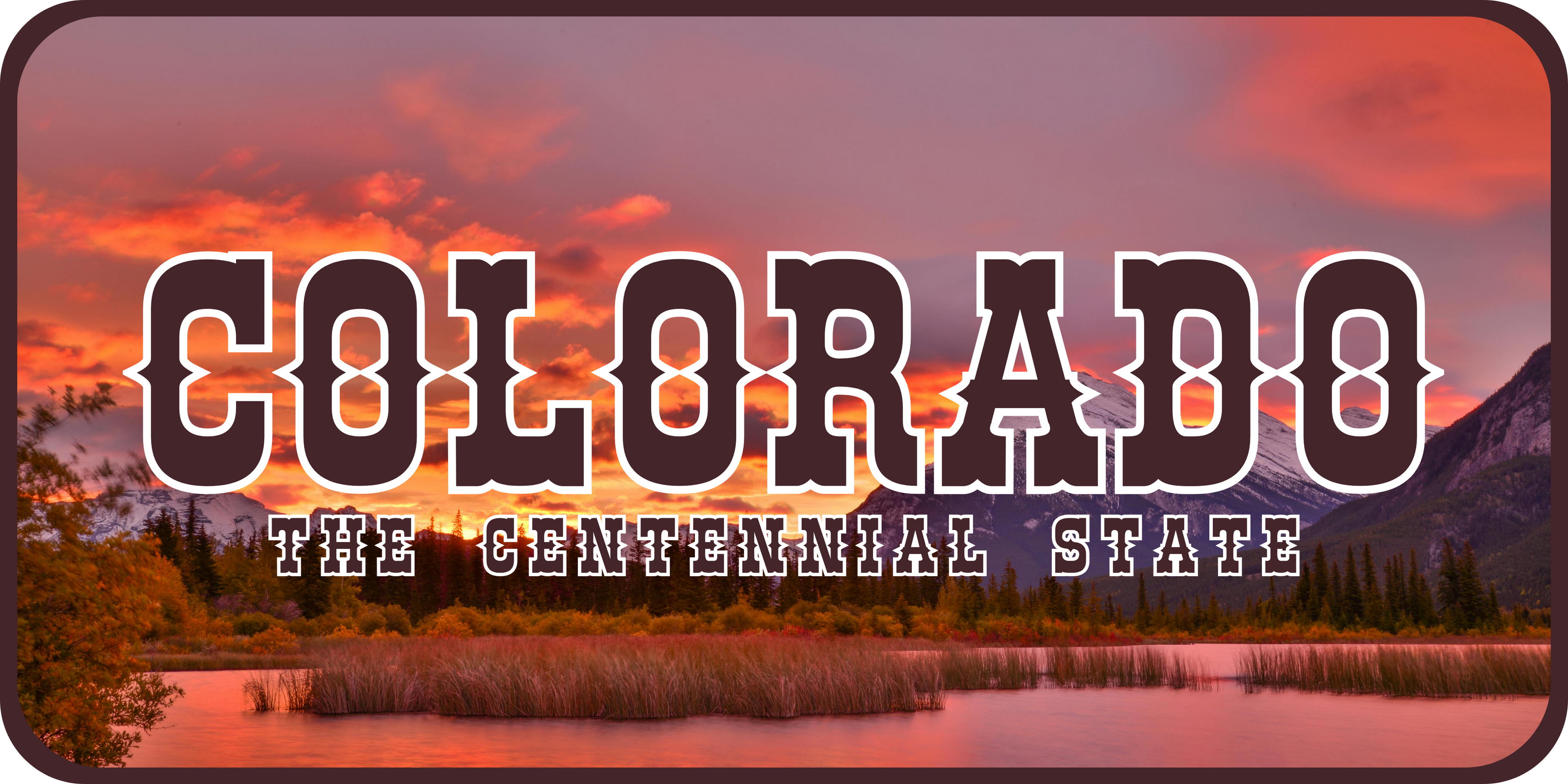 Colorado License Plate 4