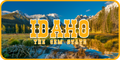 Idaho License Plate 4