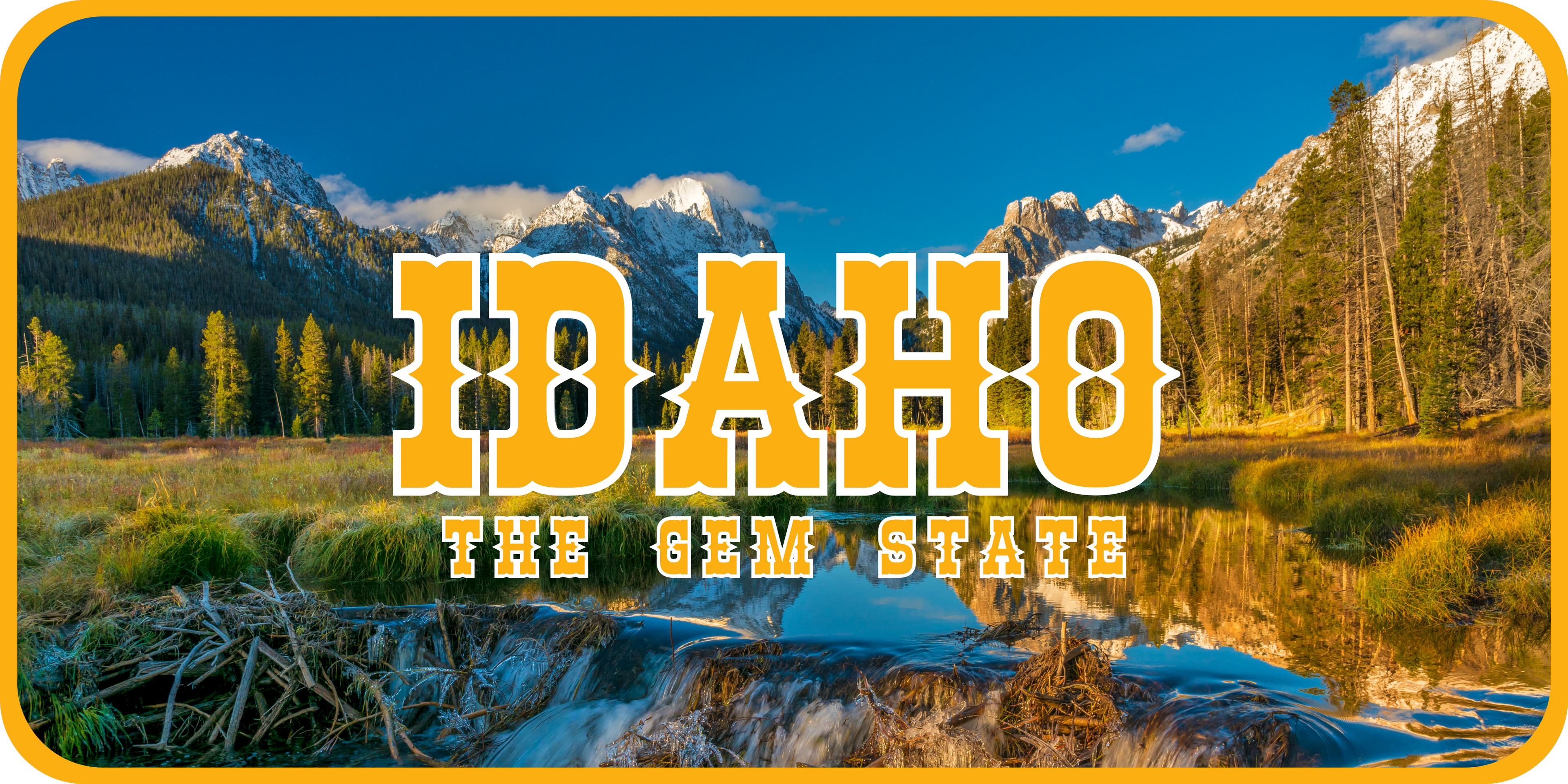 Idaho License Plate 4