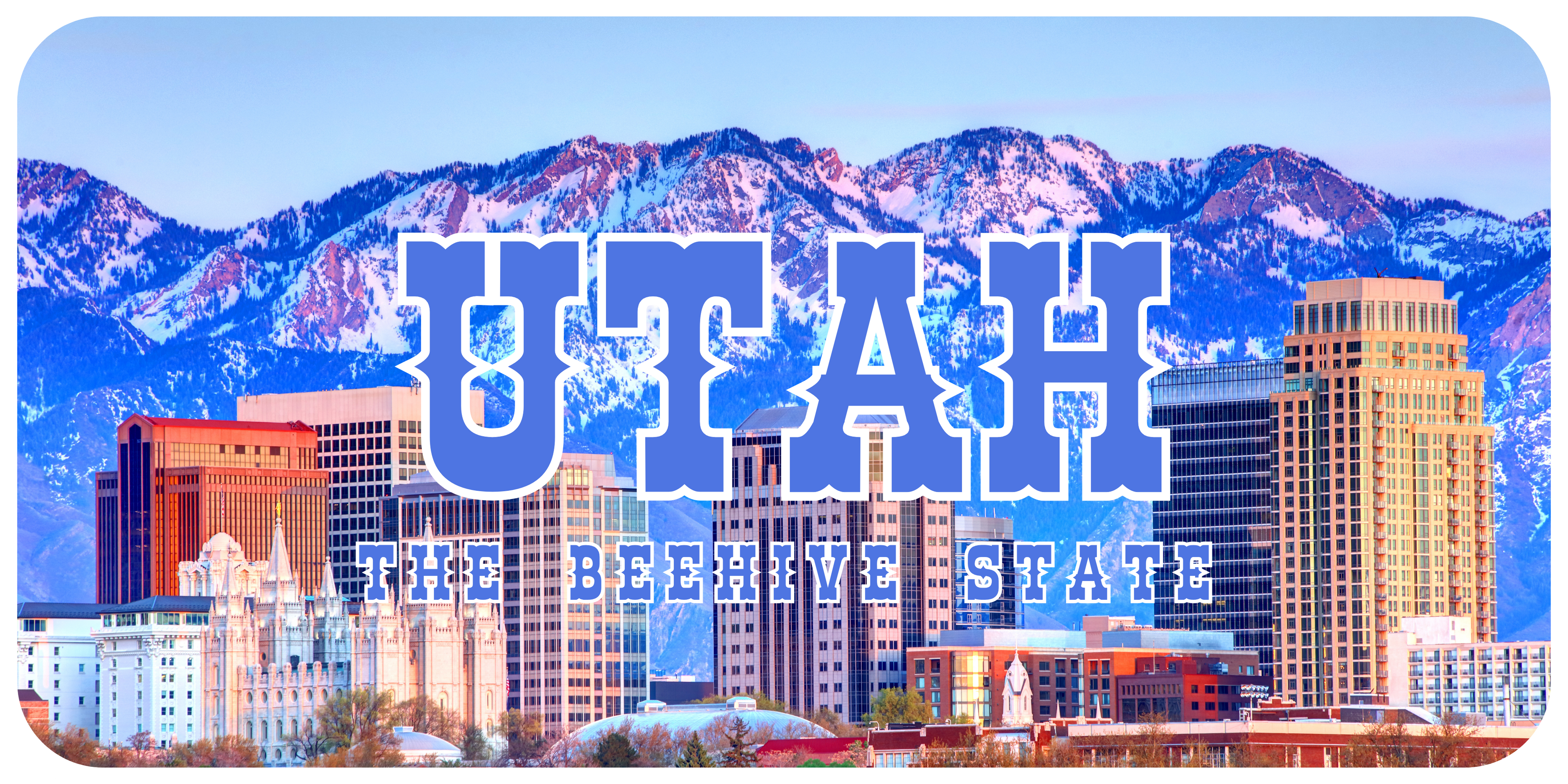 Utah License Plate 5