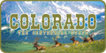 Colorado License Plate 6