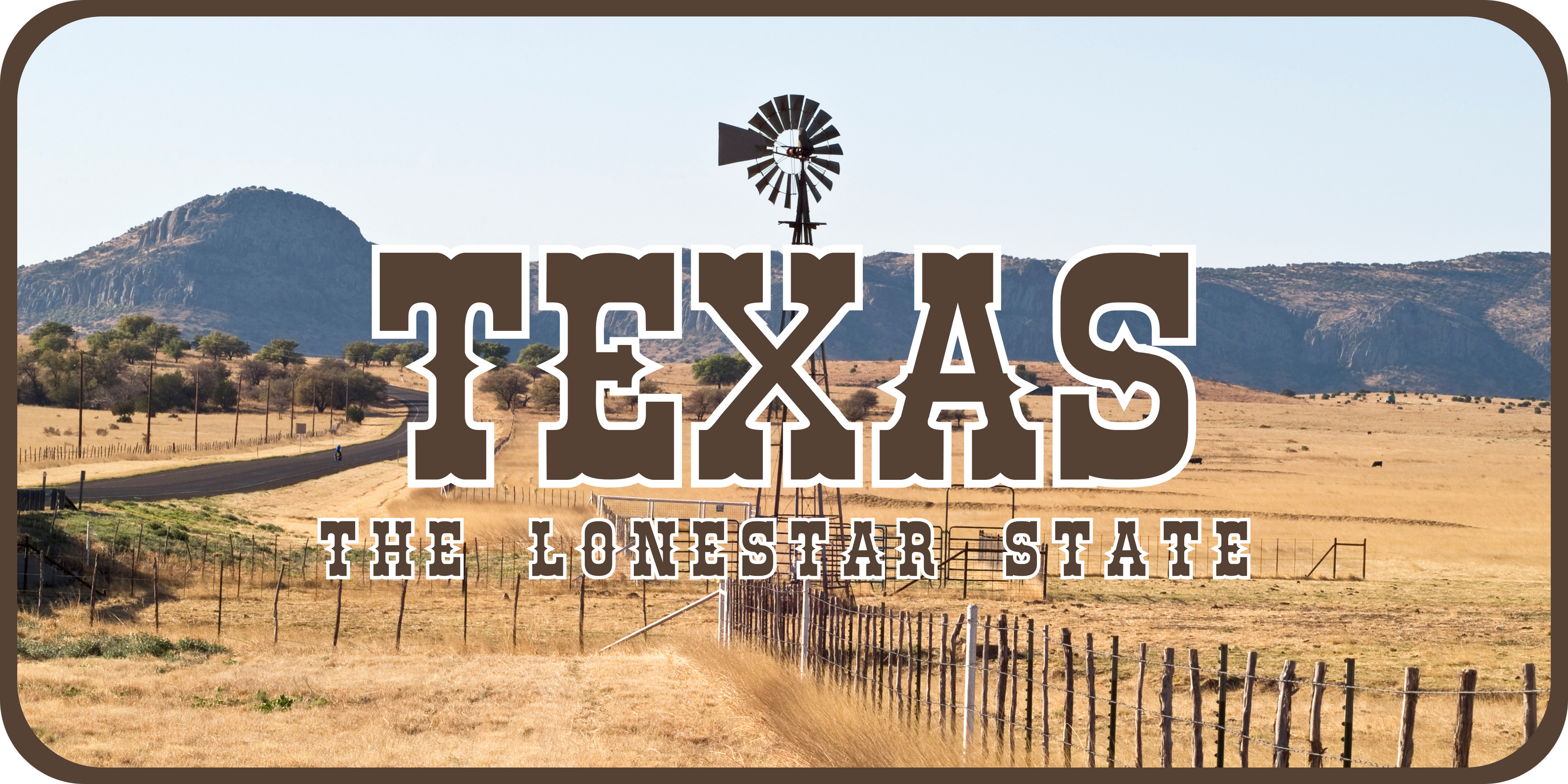 Texas License Plate 6