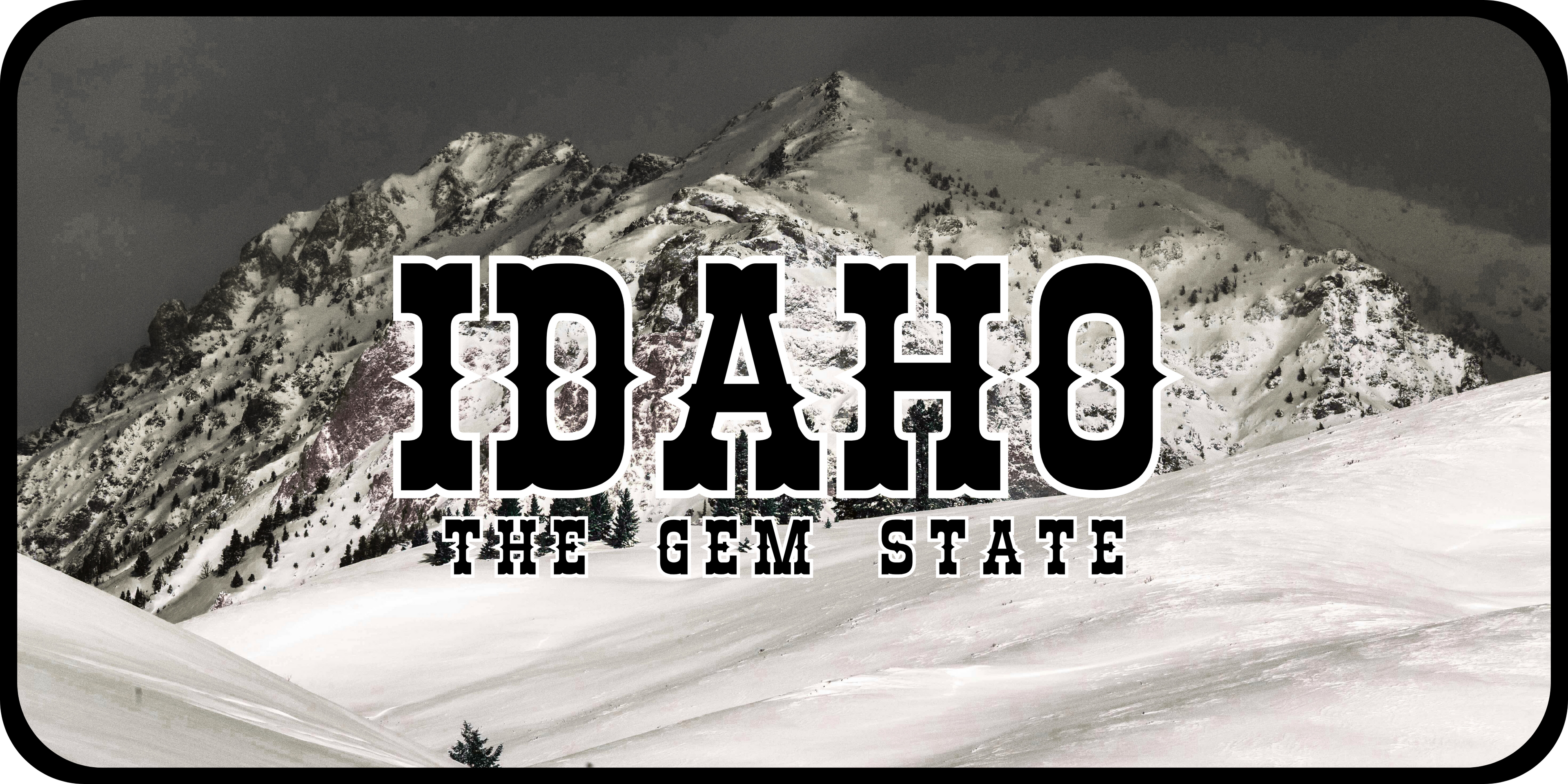 Idaho License Plate 7