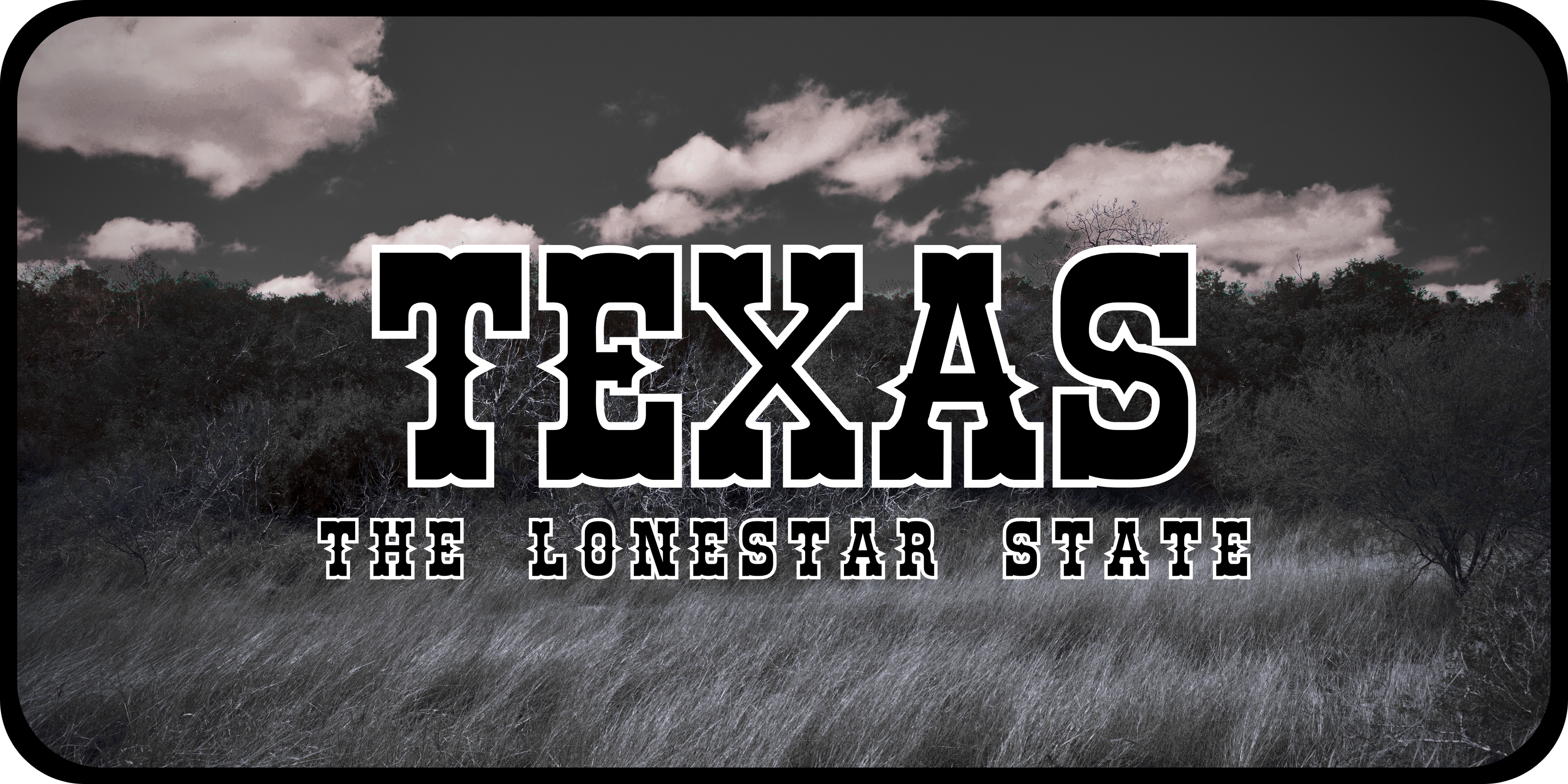 Texas License Plate 7