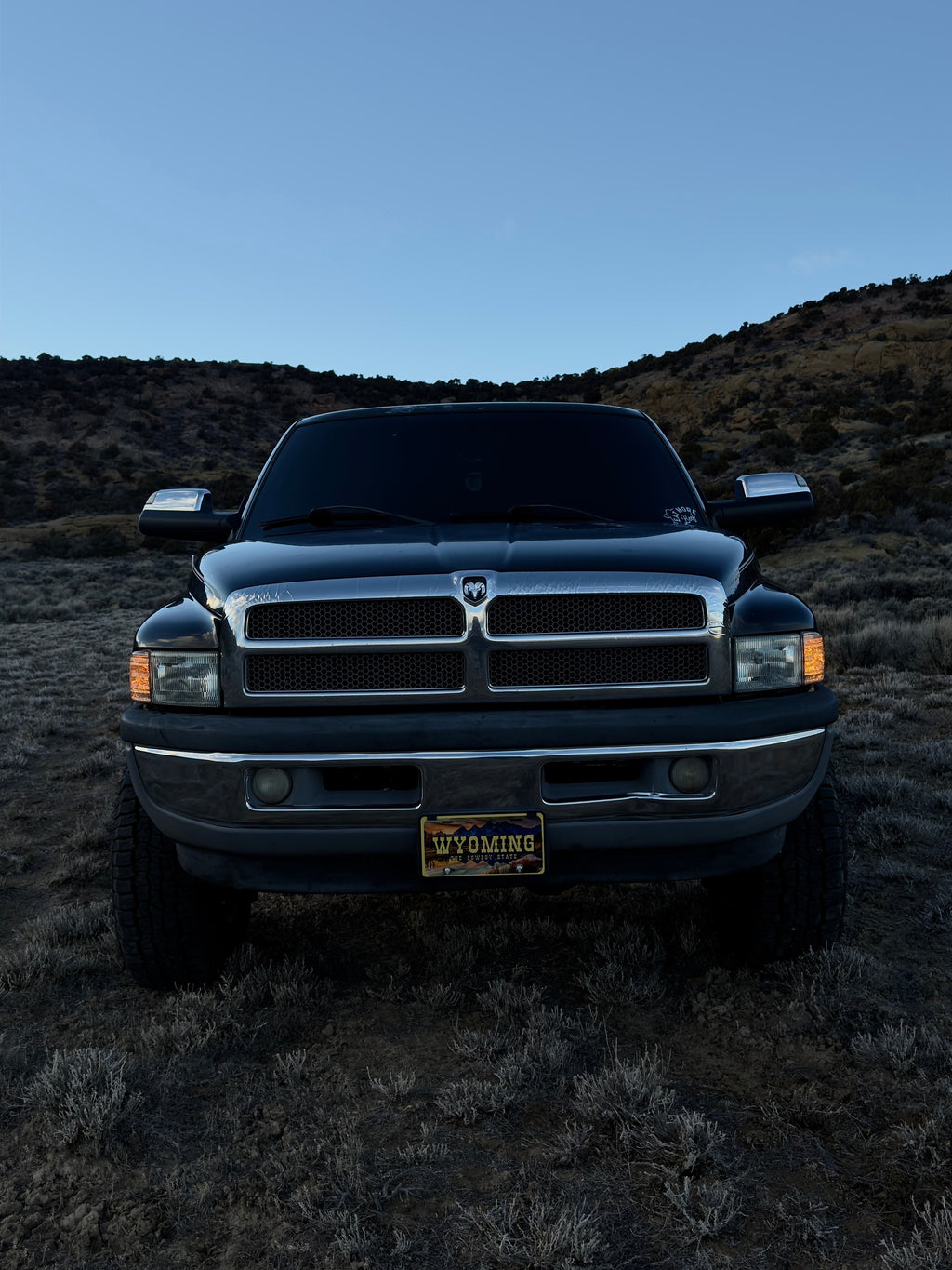 Wyoming License Plate OG
