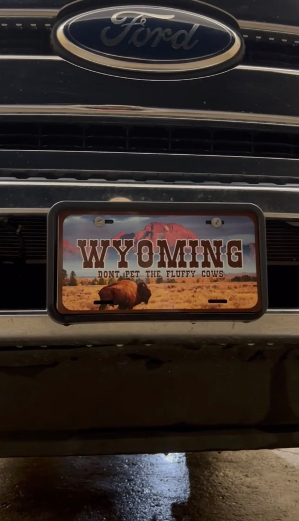 Wyoming License Plate "Don't Pet the Fluffy Cows" V1