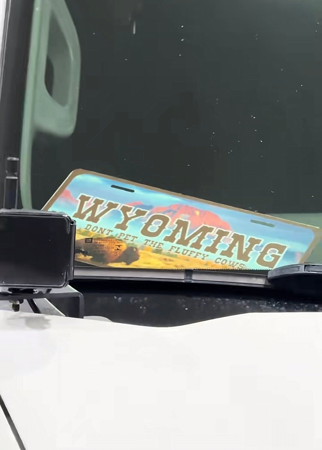 Wyoming License Plate "Don't Pet the Fluffy Cows" V1